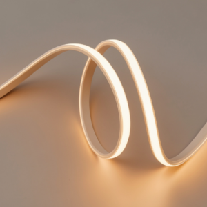 NEÓN FRONTAL 24V 10X5